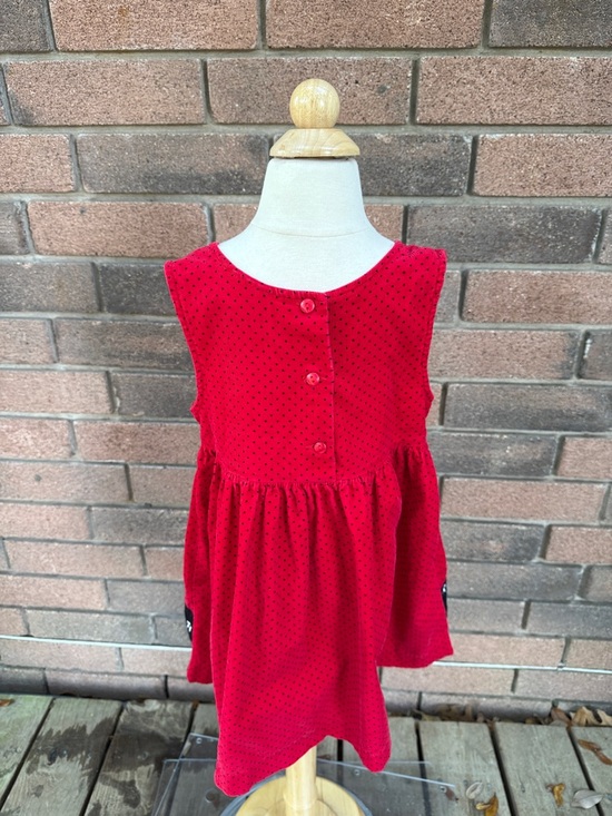 Rare Editions Red Polka Dot Dress with Dog & Gingham Trim Size 4T - Picture 5 of 6